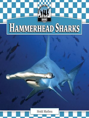 cover image of Hammerhead Sharks